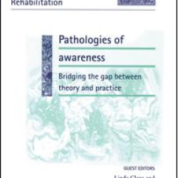 Pathologies of Awareness: Bridging the Gap between Theory and Practice Pathologies of Awareness: Bridging the Gap between Theory and Practice