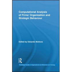Computational Analysis of Firms’ Organization and Strategic Behaviour