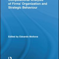 Computational Analysis of Firms’ Organization and Strategic Behaviour Computational Analysis of Firms’ Organization and Strategic Behaviour