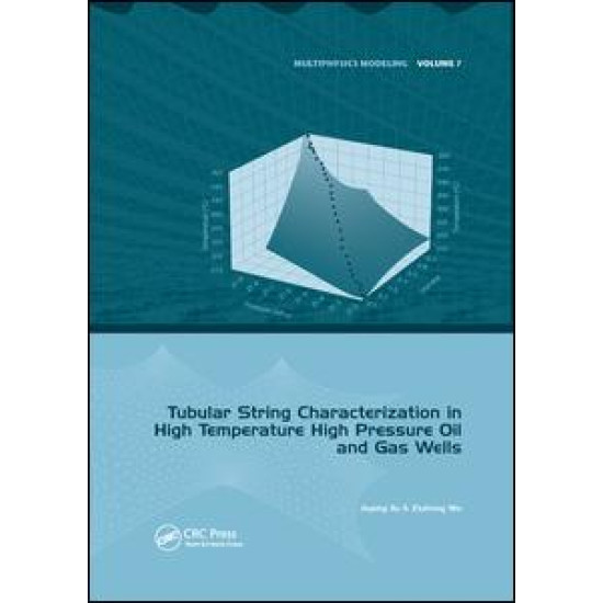Tubular String Characterization in High Temperature High Pressure Oil and Gas Wells