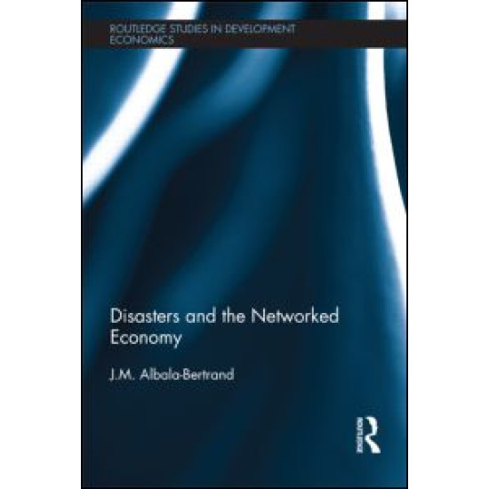 Disasters and the Networked Economy