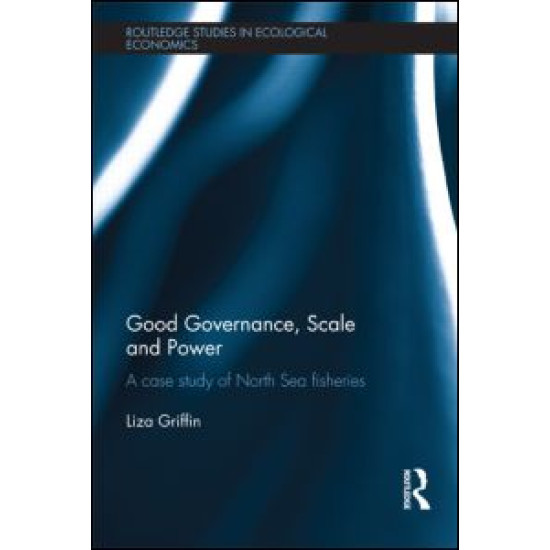 Good Governance, Scale and Power Good Governance, Scale and Power