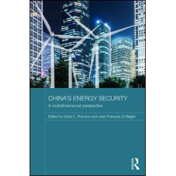 China's Energy Security