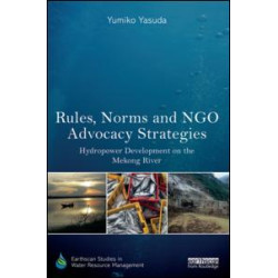 Rules, Norms and NGO Advocacy Strategies