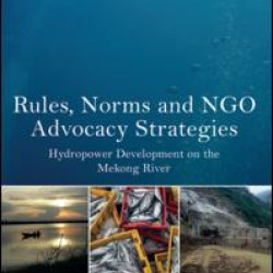 Rules, Norms and NGO Advocacy Strategies Rules, Norms and NGO Advocacy Strategies