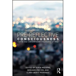 Pre-reflective Consciousness Pre-reflective Consciousness