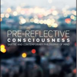 Pre-reflective Consciousness Pre-reflective Consciousness