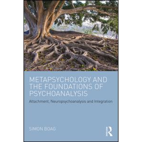 Metapsychology and the Foundations of Psychoanalysis