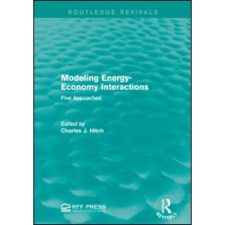 Modeling Energy-Economy Interactions