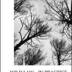 Wild Law - In Practice Wild Law - In Practice
