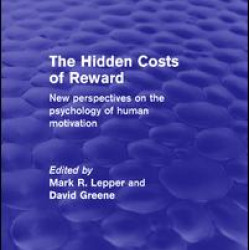 The Hidden Costs of Reward