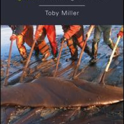 Greenwashing Culture Greenwashing Culture