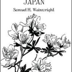 Beauty In Japan Beauty In Japan