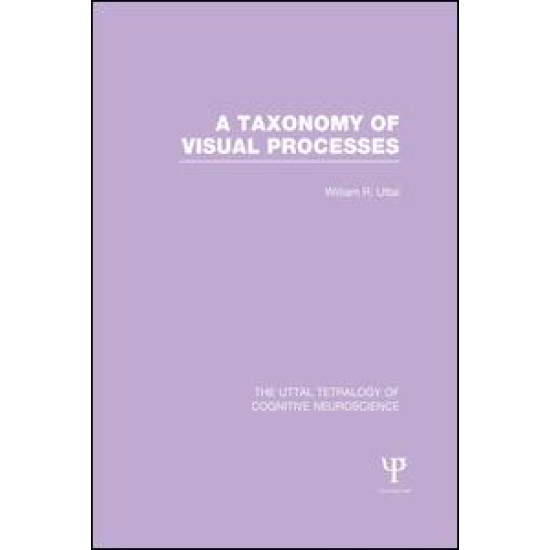 A Taxonomy of Visual Processes