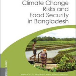 Climate Change Risks and Food Security in Bangladesh