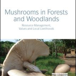 Mushrooms in Forests and Woodlands Mushrooms in Forests and Woodlands