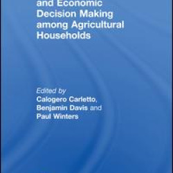 Migration, Transfers and Economic Decision Making among Agricultural Households Migration, Transfers and Economic Decision Making among Agricultural Households