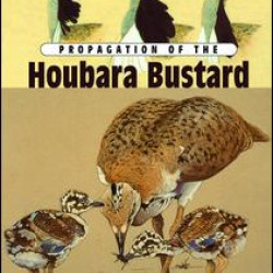 Propagation Of The Houbara Bustard