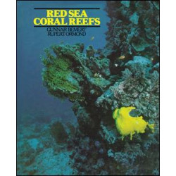 Red Sea Coral Reefs Red Sea Coral Reefs