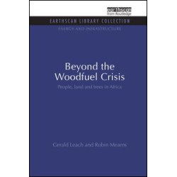 Beyond the Woodfuel Crisis