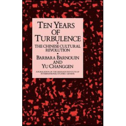 Ten Years Of Turbulence