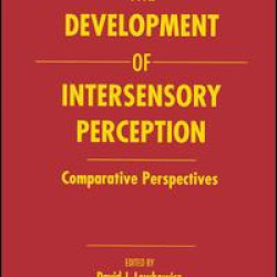 The Development of Intersensory Perception