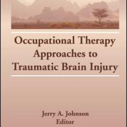 Occupational Therapy Approaches to Traumatic Brain Injury
