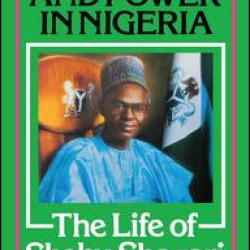 President and Power in Nigeria