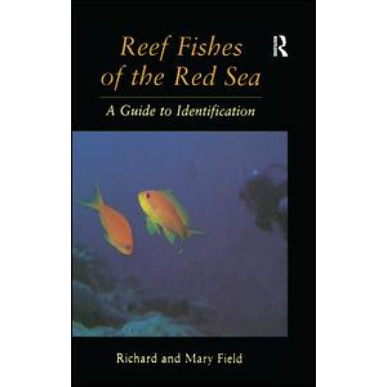 Reef Fish Of The Red Sea