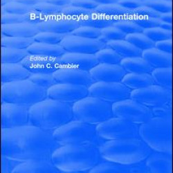 B-Lymphocyte Differentiation