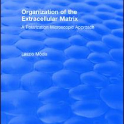 Organization of the Extracellular Matrix Organization of the Extracellular Matrix