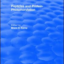 Peptides and Protein Phosphorylation