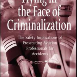 Flying in the Face of Criminalization Flying in the Face of Criminalization