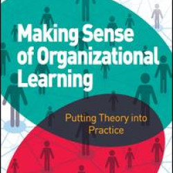 Making Sense of Organizational Learning