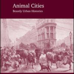 Animal Cities