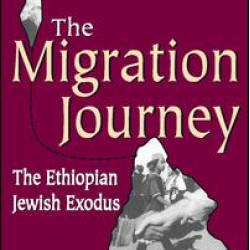 The Migration Journey