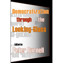 Democratization Through the Looking-glass Democratization Through the Looking-glass