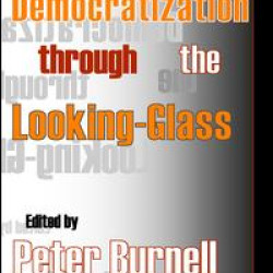 Democratization Through the Looking-glass Democratization Through the Looking-glass