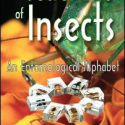 The Secret Life of Insects The Secret Life of Insects