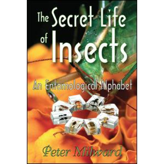 The Secret Life of Insects