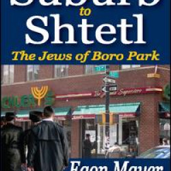 From Suburb to Shtetl From Suburb to Shtetl