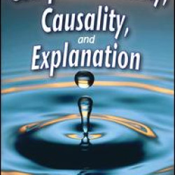 Complementarity, Causality and Explanation