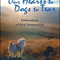 We Give Our Hearts to Dogs to Tear