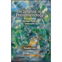 In Defense of Phenomenology In Defense of Phenomenology