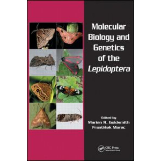Molecular Biology and Genetics of the Lepidoptera Molecular Biology and Genetics of the Lepidoptera
