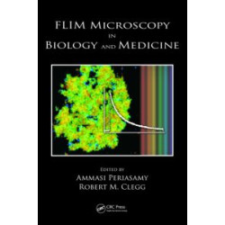 FLIM Microscopy in Biology and Medicine