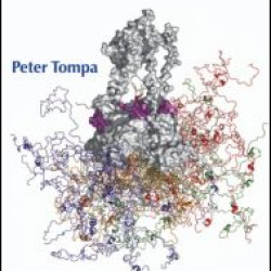 Structure and Function of Intrinsically Disordered Proteins Structure and Function of Intrinsically Disordered Proteins
