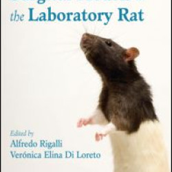 Experimental Surgical Models in the Laboratory Rat Experimental Surgical Models in the Laboratory Rat