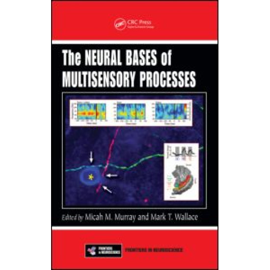 The Neural Bases of Multisensory Processes The Neural Bases of Multisensory Processes