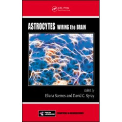 Astrocytes